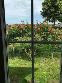 Large Home in Country near Zurich - 8