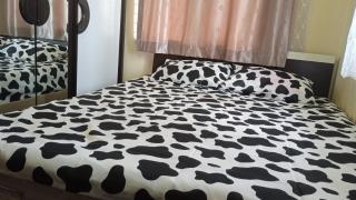 Homestay Guest House Dormitory Sleeping Rooms - BE MY GUEST - 2