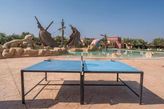 Appartement rooftop privatif Vizir Center - 8