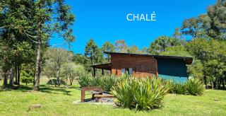 Villa Vida Cabanas - 2