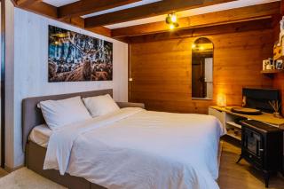 Mazot cozy chalet spirit in Chamonix - 1