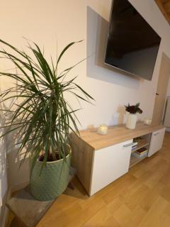 Traunapartment Altaussee - 1