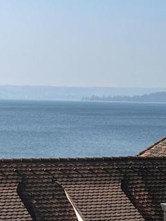 Hotel Iris- Pizzeria Ristorante La Taverna - 1