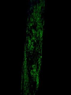 Posada Nativa sol y mar - 6