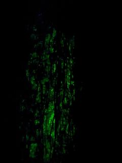 Posada Nativa sol y mar - 5