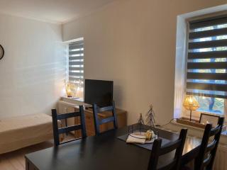 Alter Gutshof Kromlau Direkt am Schloss und Rhododendronpark, Terasse und Parkplatz - 7