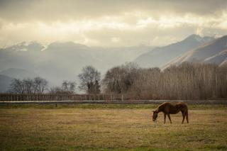 Dimitra 's house - 3