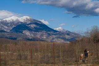 Dimitra 's house - 2