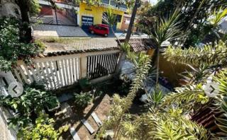 Casinha beira praia gaivota - 1