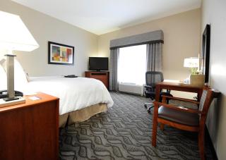 Hampton Inn & Suites Craig, CO - Craig - 7
