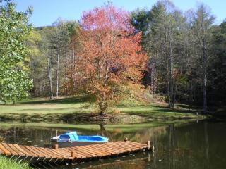 Modern Mountain Retreat~120ac~ Pond~Boat~Trails~FP - 5