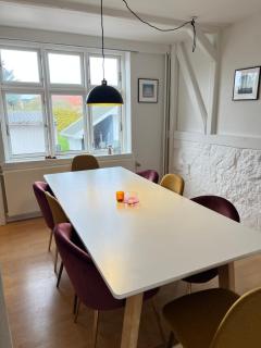 Spacious Apartment Near City & Åløkke Forest - 3