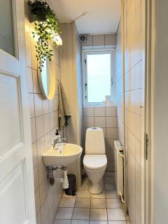 Spacious Apartment Near City & Åløkke Forest - 5