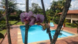 Paraíso Verde - Propriedade para família - 7