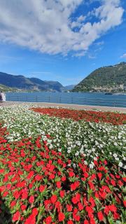 Como per Voi-Tre minuti dal lago - 9