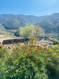 Deodar Village Homestay Devalsari - 6