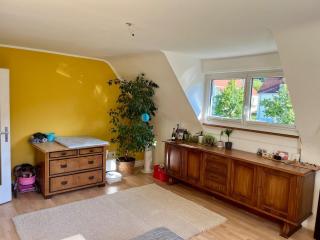 Black Forest Family Lodge - 8