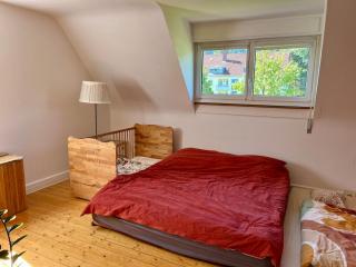 Black Forest Family Lodge - 2