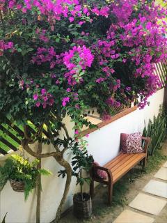 Villa Puglia Jeri - 6