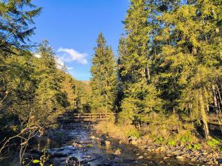 GREEN DOLOMYTE Apartment - Schilpario - 7