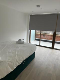 Upton park Plaistow East Ham Canning Town Apartment in London - 3
