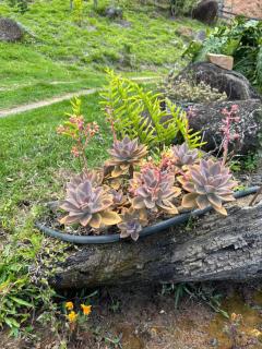 Chalé Jequitiba, hidro, lareira, natureza, Sul de Minas - 8