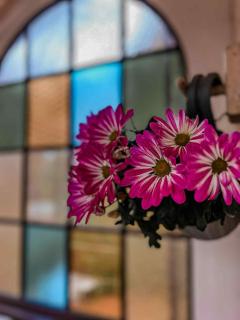 Daisy's Home Vimmerby - 4