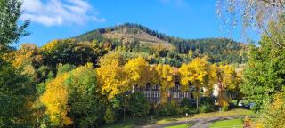 Niebieski apartament pod Borową Górą - 9