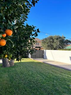 Valencian Paradise - 5