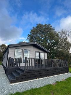 Trian Lodge Olive - 7