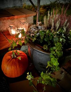 Villa söder om Varberg - 8