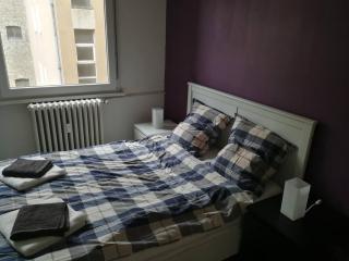 Magnifique appartement 2-3 pièces Orangerie - 5