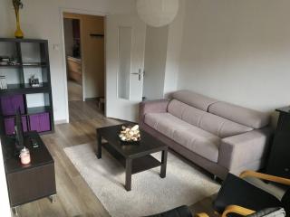 Magnifique appartement 2-3 pièces Orangerie - 6