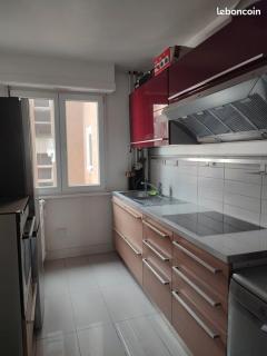 Magnifique appartement 2-3 pièces Orangerie - 3