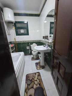 دجله المعادى - 2