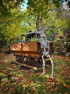 The Miners Log Cabin - 5