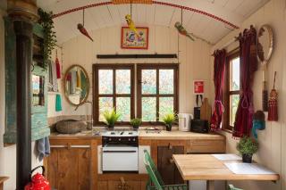 Orchard View Shepherds Hut - 3