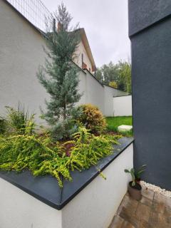 Apartman Garden - 3