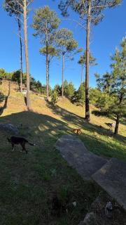 Cabaña de montaña con pileta en hermoso predio - 5