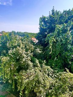 Madi Apartamenty - 8