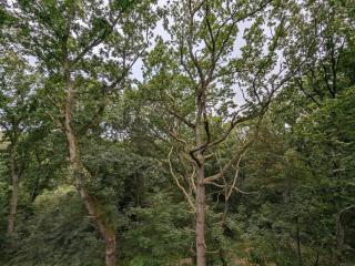 Tranquil Waterfront Cottage-By Traum - 1