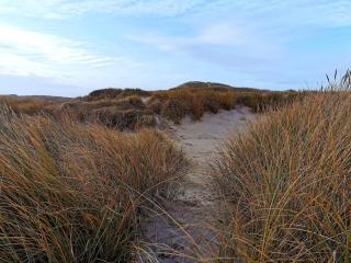 Modern Retreat with Hot Tub - By Traum Ferienwohnungen - 7