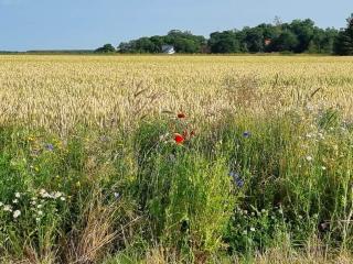 6 person holiday home in Ålbæk-By Traum - 1