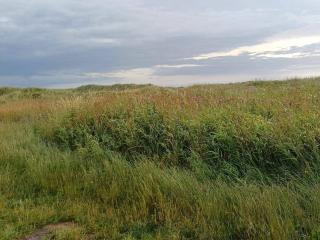 6 person holiday home in Ålbæk-By Traum - 3