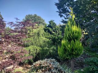 Seaside Idyll in Svaneke - By Traum Ferienwohnungen - 1