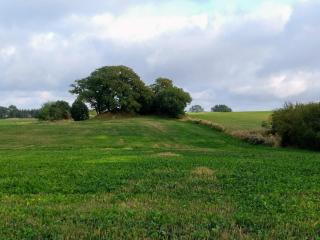 Seaside Idyll in Svaneke - By Traum Ferienwohnungen - 4
