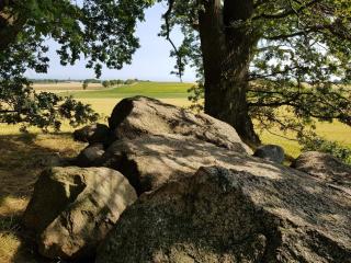 Seaside Idyll in Svaneke - By Traum Ferienwohnungen - 4