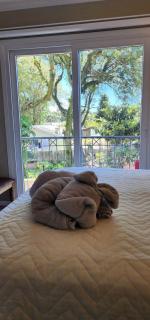 Charme e Conforto em Canela (Centro/3 dorm) - 1