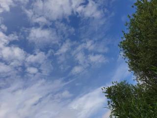 Peaceful Cabin Retreat in Ebeltoft - 3