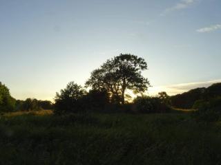 8 person holiday home in Ebeltoft - 2